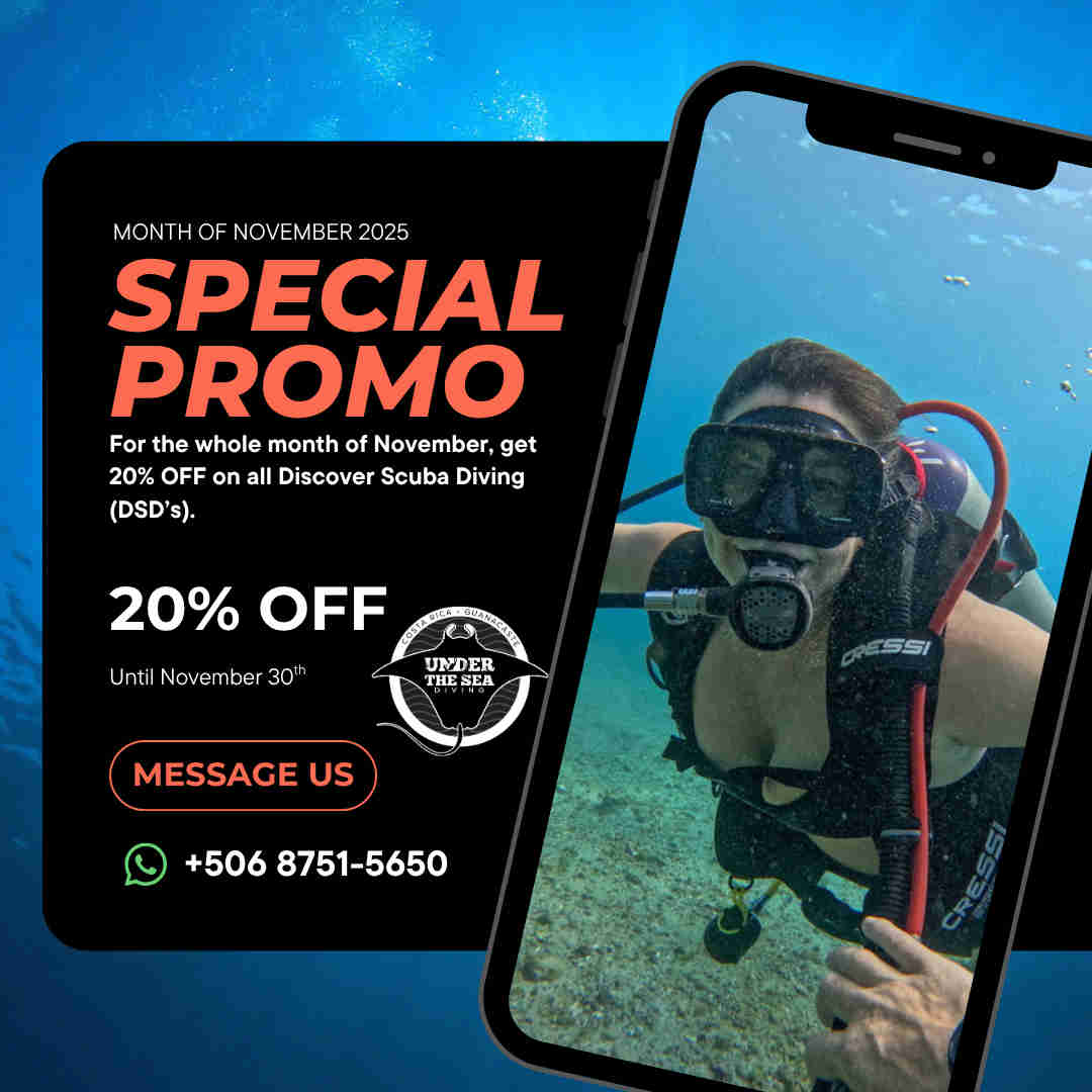 Novemver Placeholder Promo Flyer: 20% off DSD courses in Guanacaste, Costa Rica