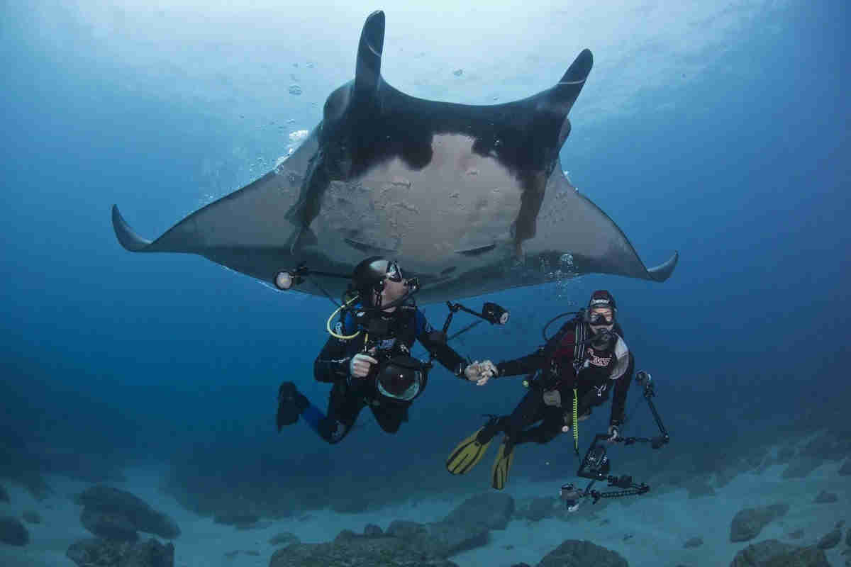 Two divers holding hands underneath a giant Manta Ray diving in Guanacaste, Costa Rica