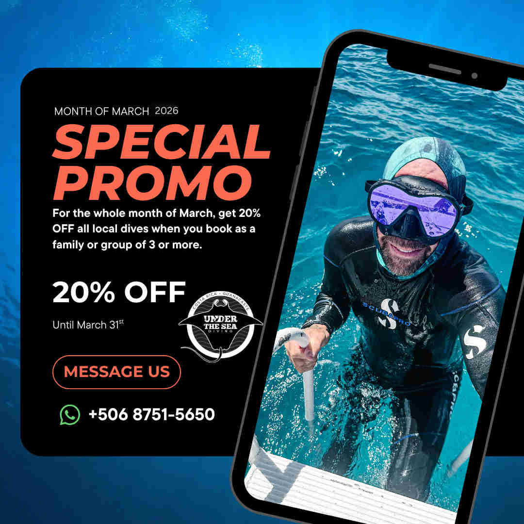 March Promos for Under The Sea Diving, Playa Potrero and Flamingo in Guanacaste, Costa Rica.