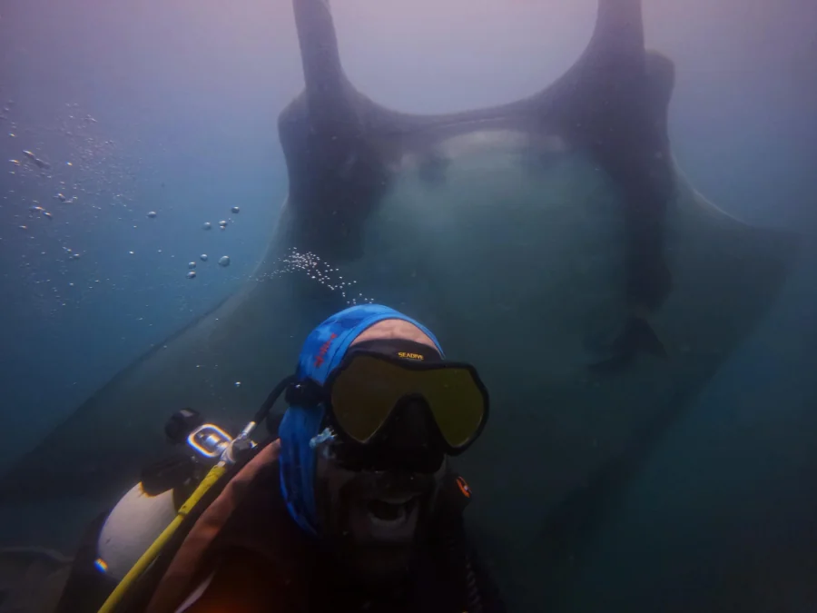 Diver with a giant manta ray in the Pacific Ocean off Playa Potrero, Guanacaste, Costa Rica.