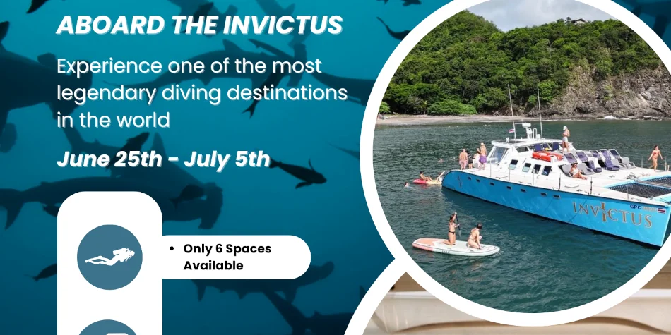 Liveaboard trip to Cocos Island aboard the Invictus with Under The Sea Diving, Costa Rica.