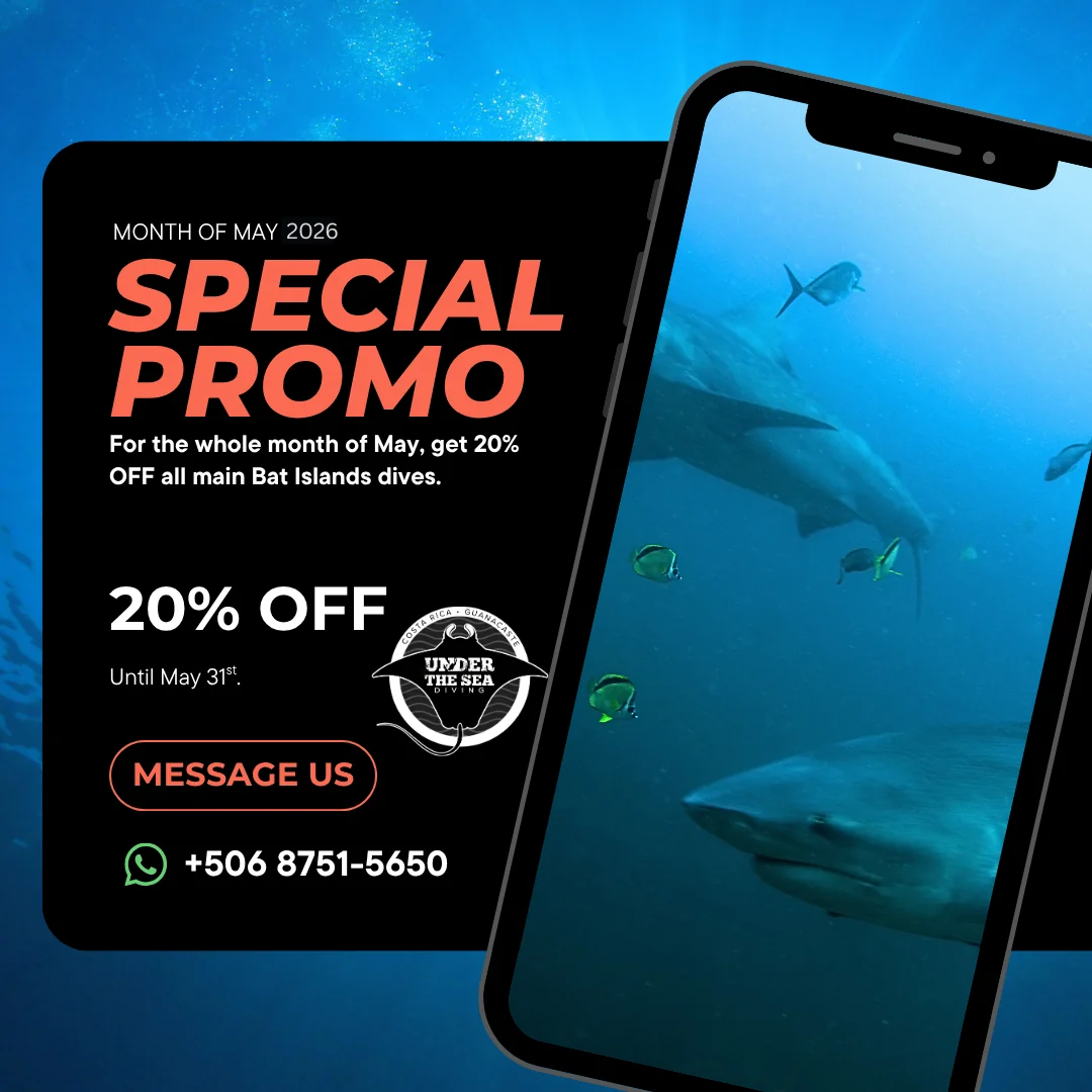 20% off Bat Islands dives promotion from Under the Sea Diving in Guanacaste Costa Rica