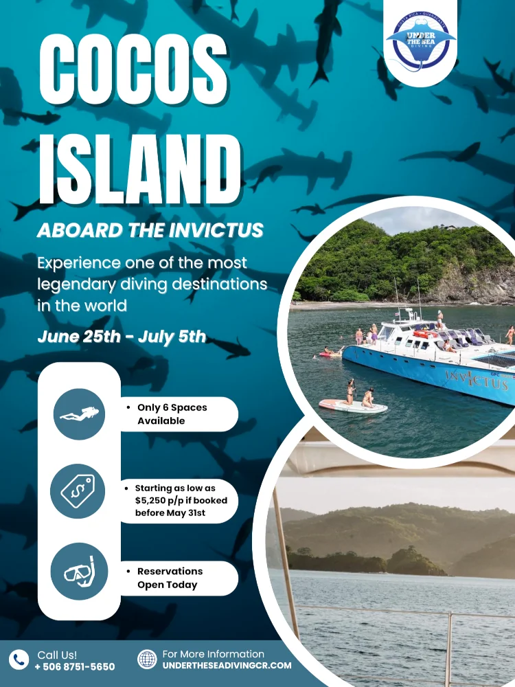 Cocos Island liveaboard diving trip aboard the Invictus with Under the Sea Diving Costa Rica