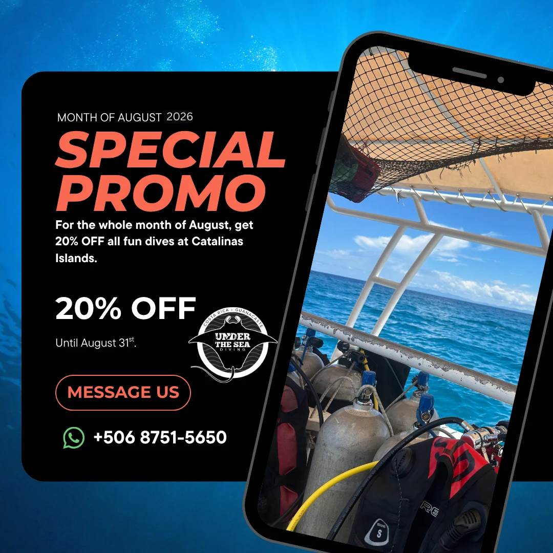 August special promotion — 20% off all fun dives at the Catalinas Islands with Under The Sea Diving