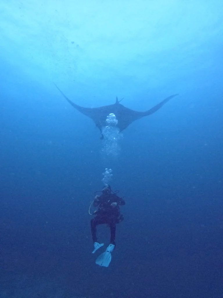 Diver with a manta ray at the Catalina Islands, Guanacaste, Costa Rica