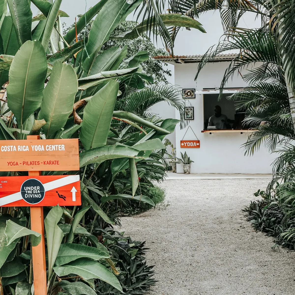 The Entrance to Under The Sea Diving | Rustic wooden sign surrounded by palm trees, your point of view as you start the process of PADI certification in Costa Rica