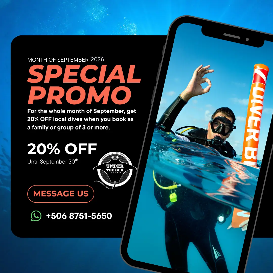 September 2026 special promotion — 20% off local dives for families and groups of 3 or more with Under The Sea Diving