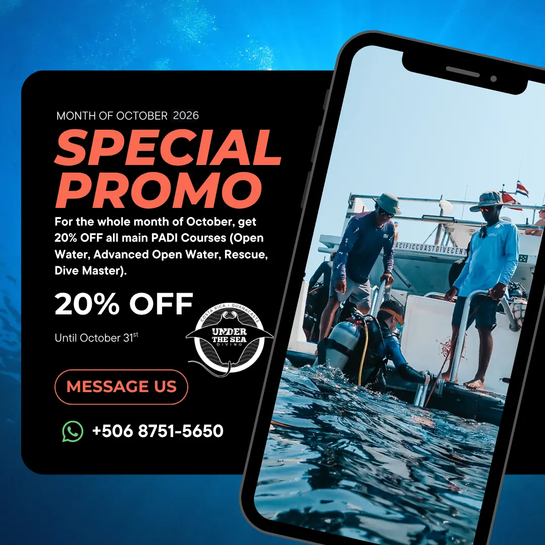 October special promotion — 20% off PADI main courses with Under The Sea Diving